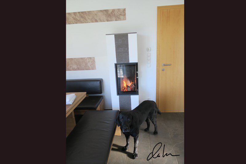 heizkamin_mit_hund